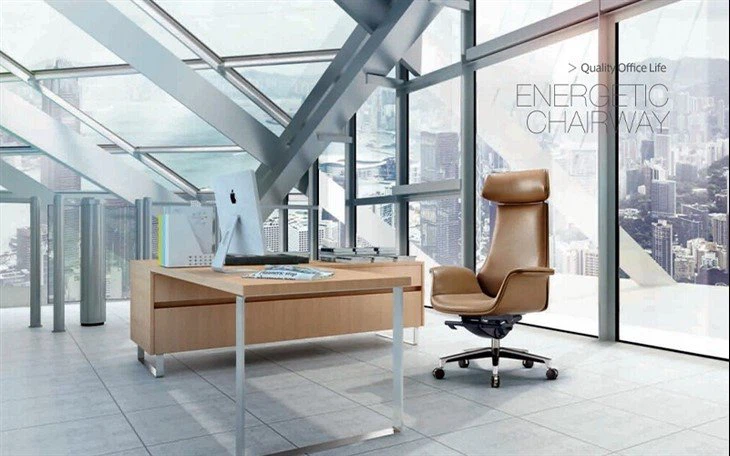 Executive Reclining Computer Desk Chair
